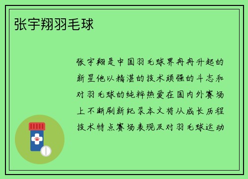张宇翔羽毛球