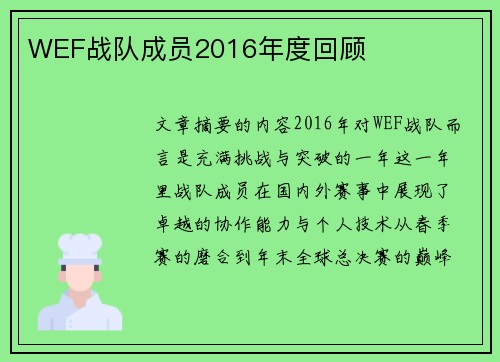 WEF战队成员2016年度回顾